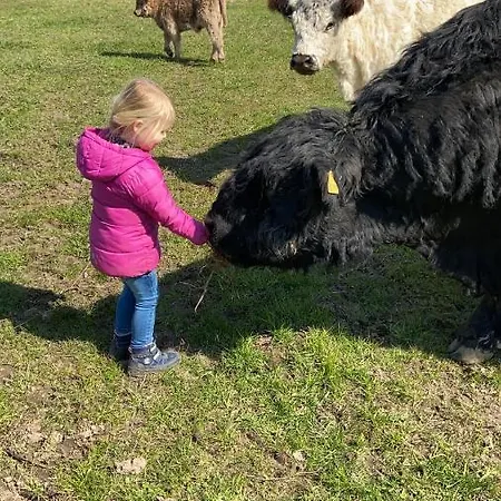 Hof Beuck * Travenhorst